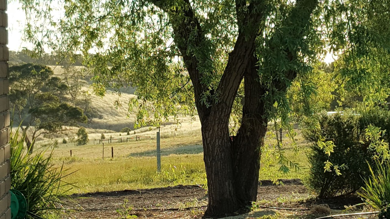 Photo of Outdoor in Uleybury