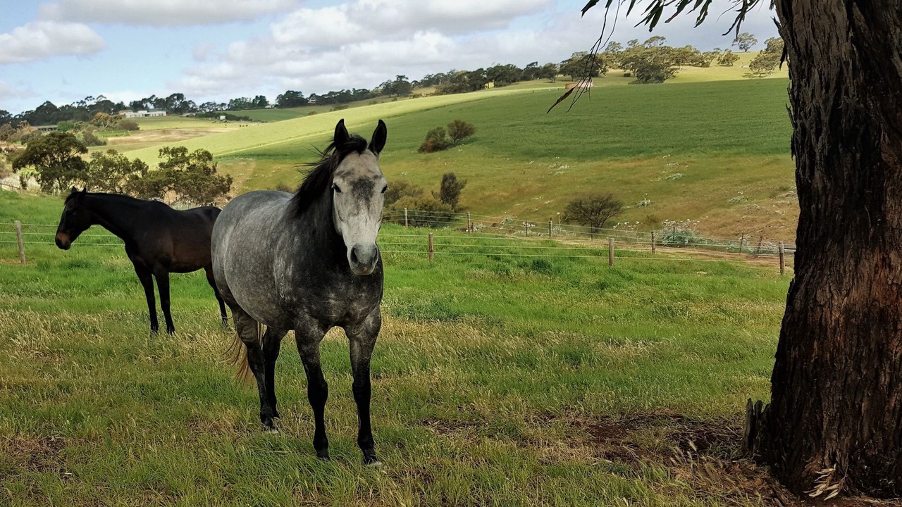 Photo of Others in Uleybury
