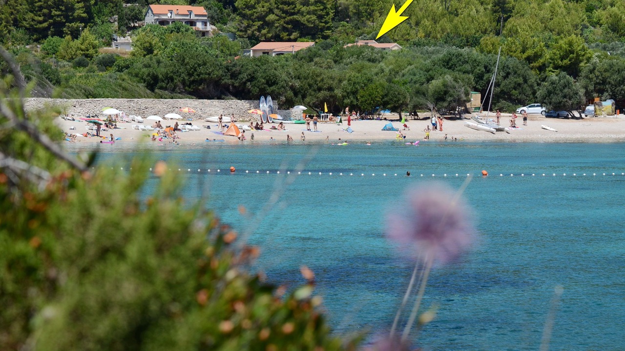 Photo of Others in Prizba