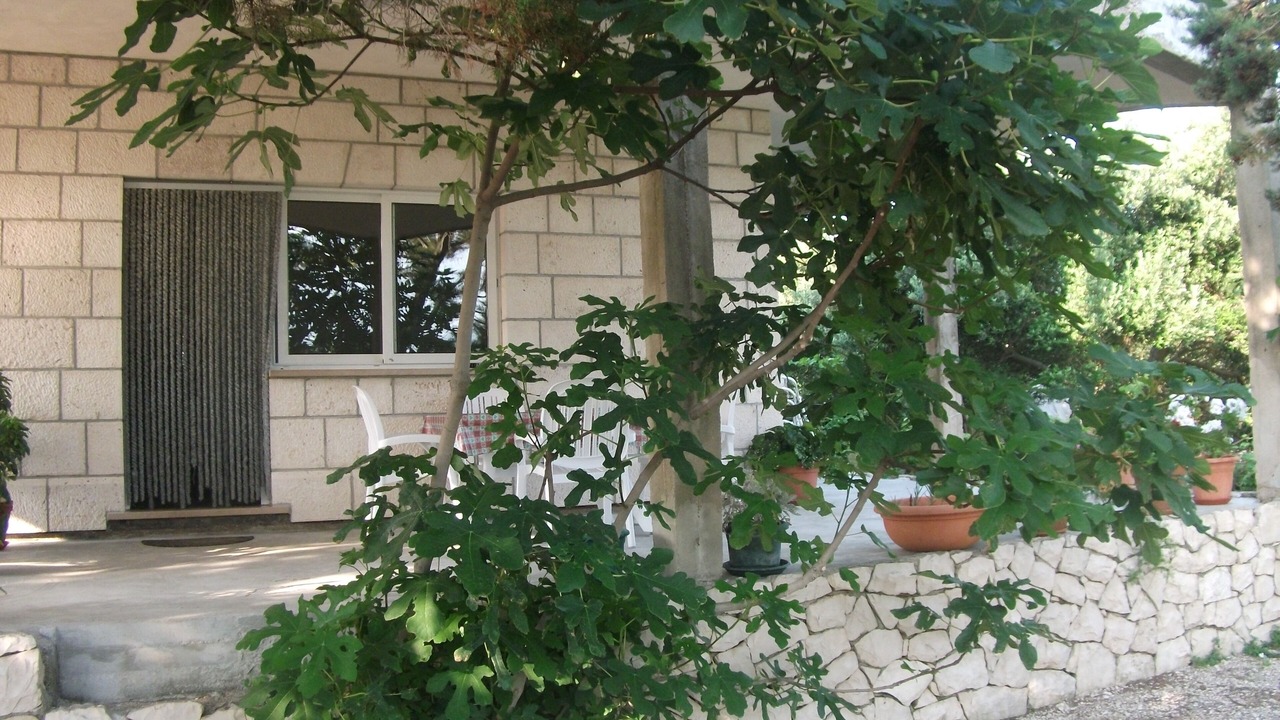Photo of Patio Balcony in Lumbarda