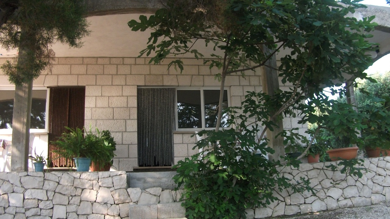 Photo of Outdoor in Lumbarda