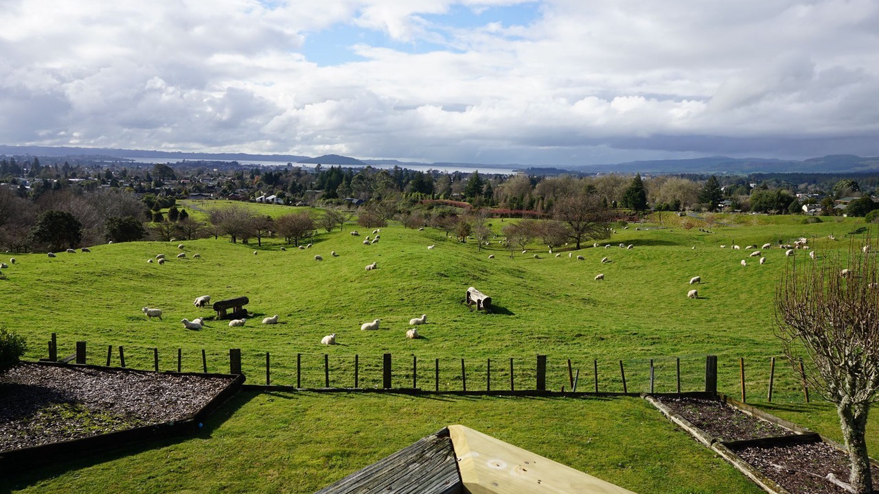 Photo of Outdoor in Rotorua