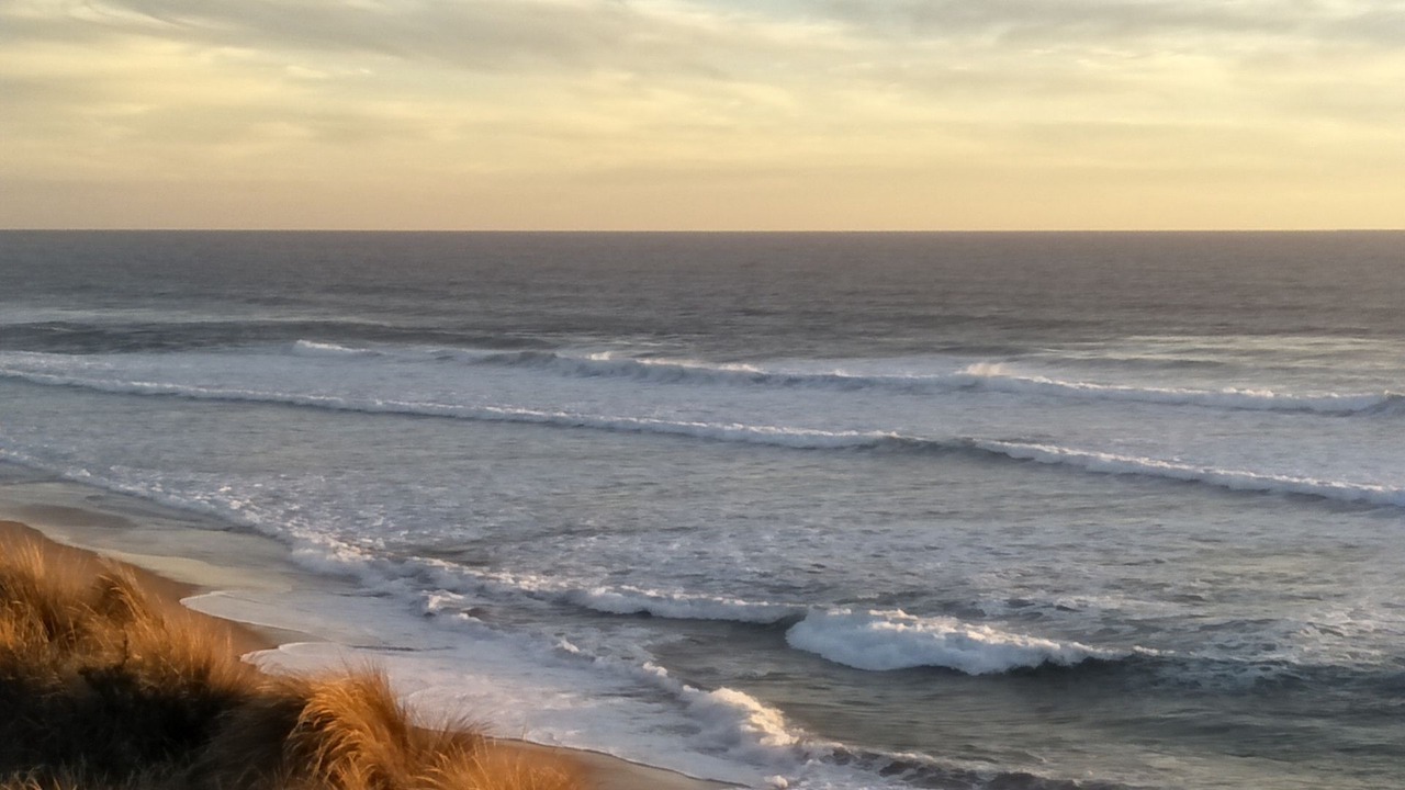 Photo of Others in Cape Woolamai