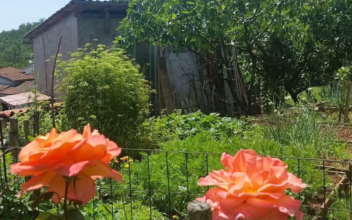 Photo of Outdoor in Opatija