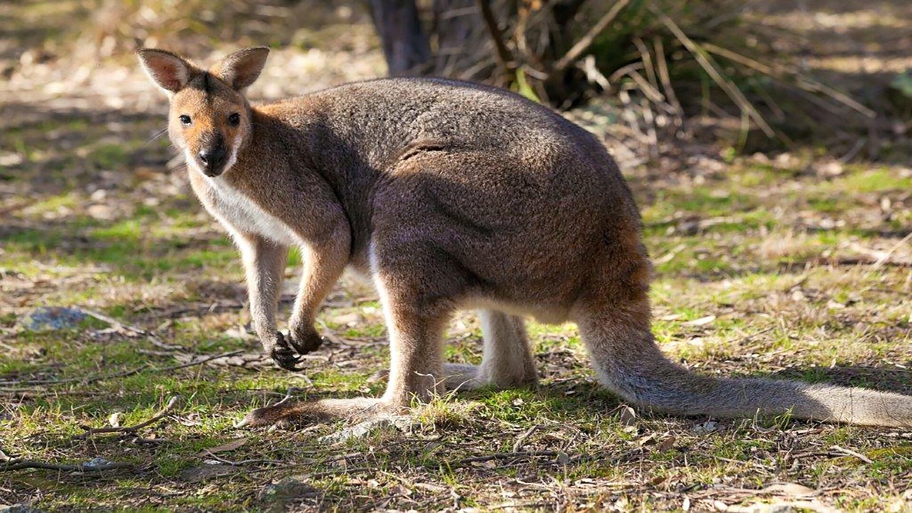 Photo of Outdoor in Vacy