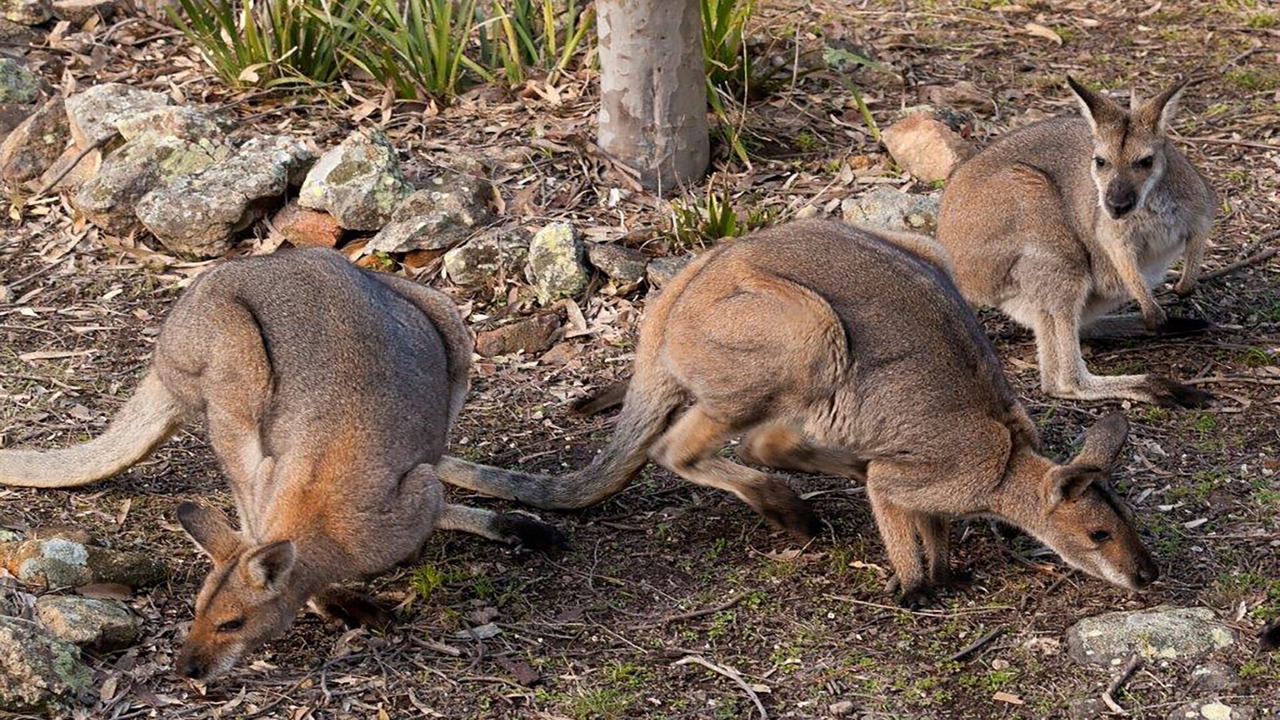 Photo of Outdoor in Vacy