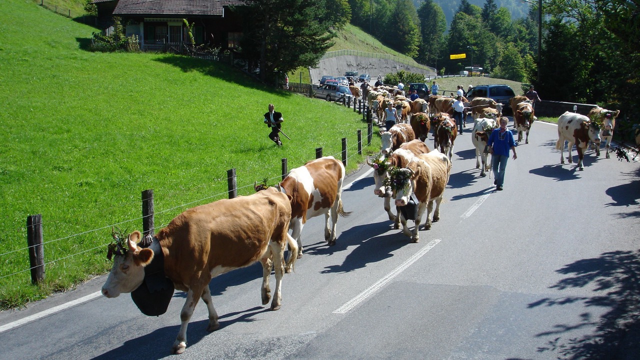 Photo of Others in Kiental
