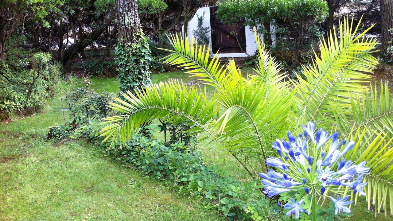 Photo of Outdoor in Cap-Ferret