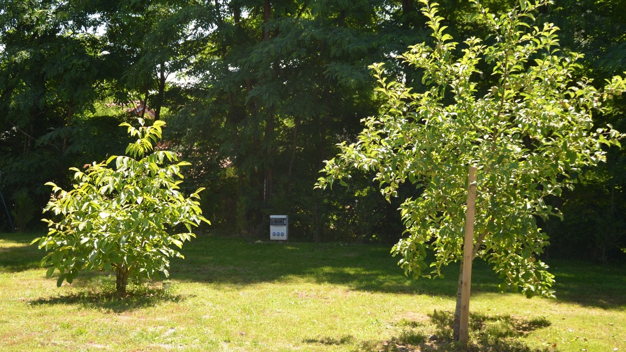 Photo of Outdoor in Manciet