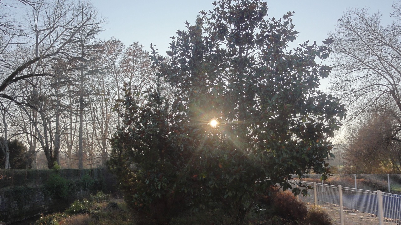 Photo of Outdoor in Berrias-et-Casteljau