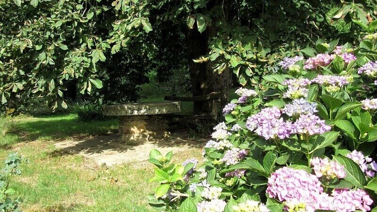 Photo of Outdoor in Vabre