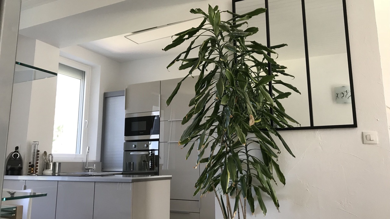 Photo of Kitchen in Quartier Beauregard-Boufflers-Buthegnemont-Boudonville
