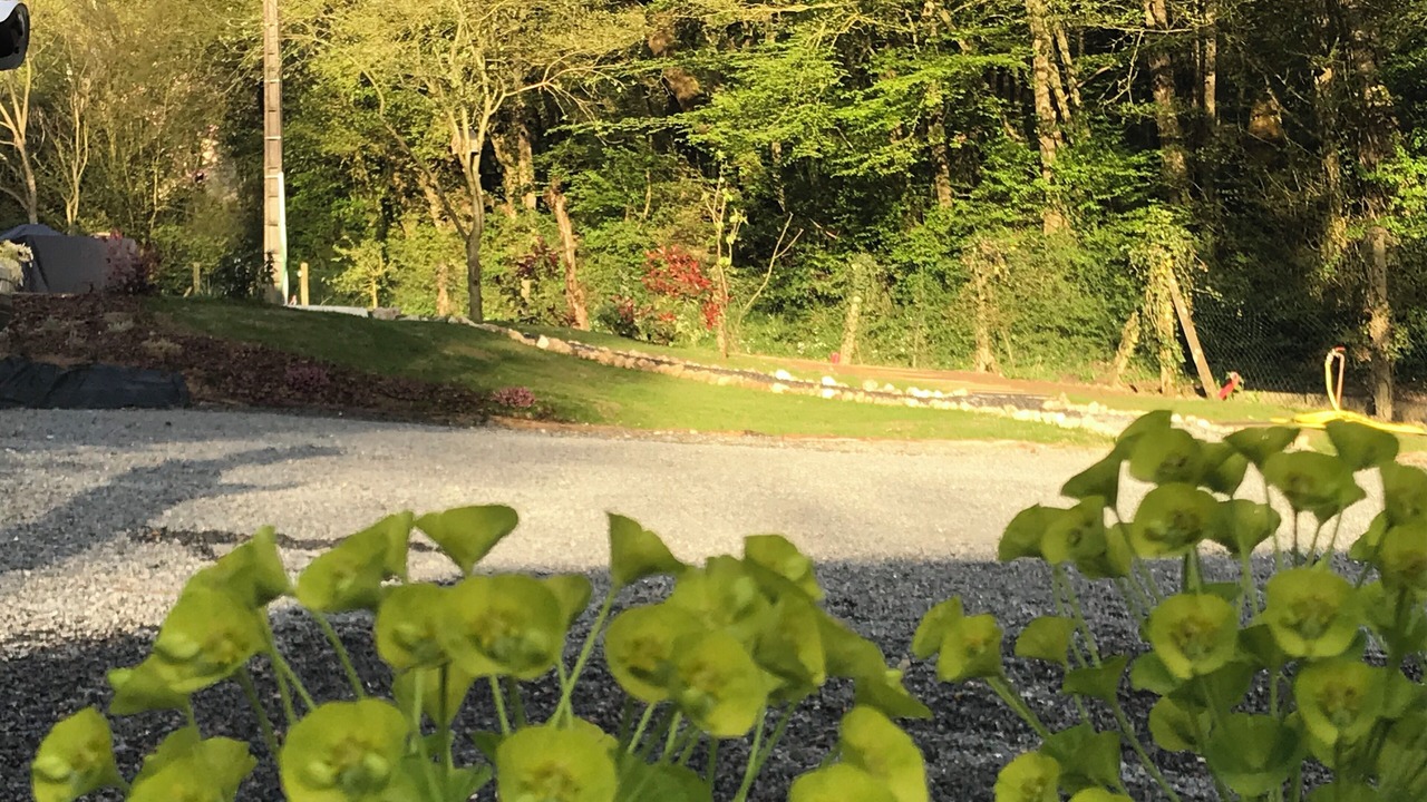 Photo of Outdoor in Rochecorbon