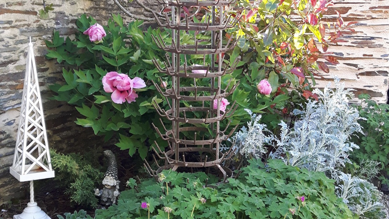 Photo of Outdoor in Juigne-sur-Loire