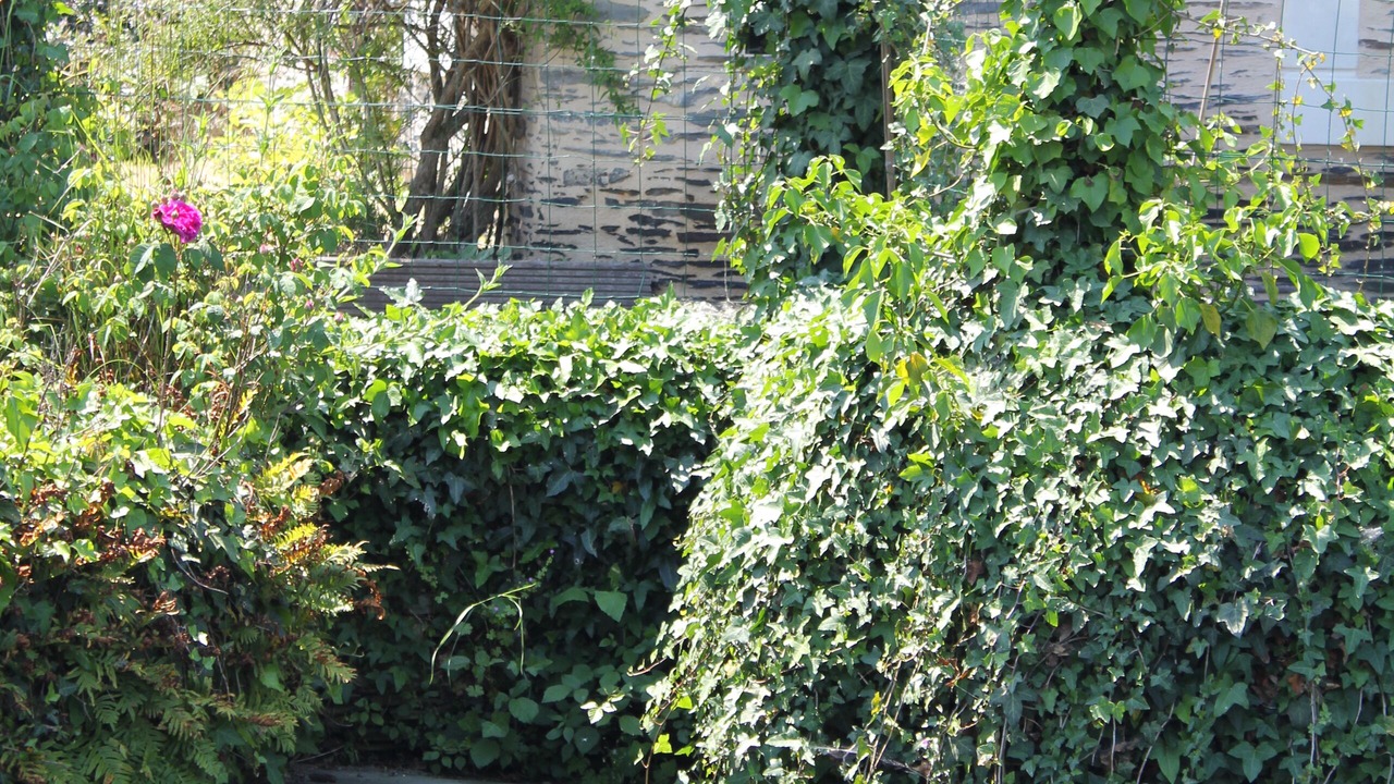 Photo of Outdoor in Juigne-sur-Loire