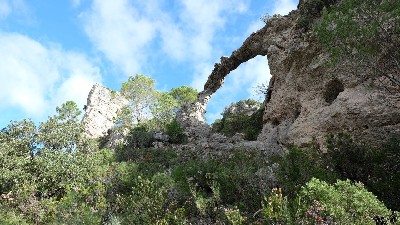 Photo of Others in Fontes