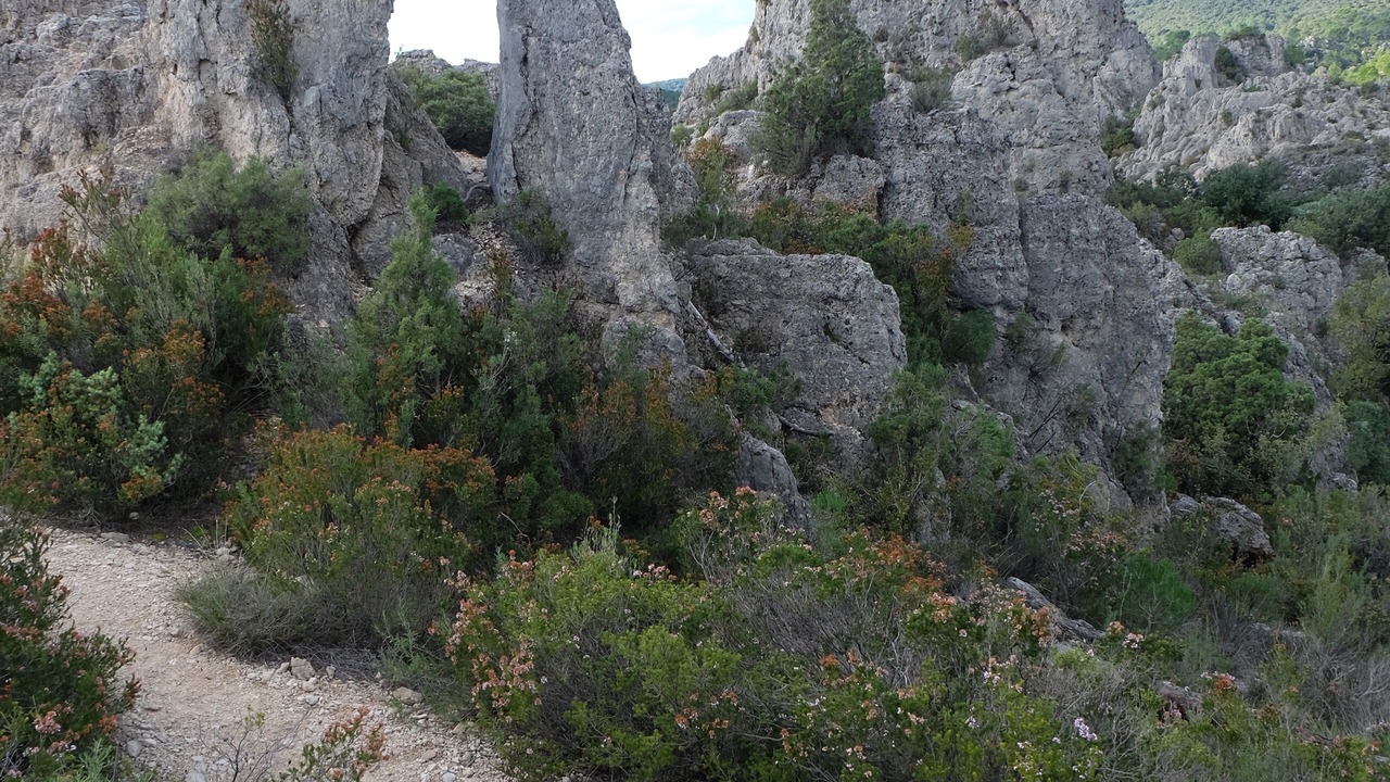 Photo of Outdoor in Fontes