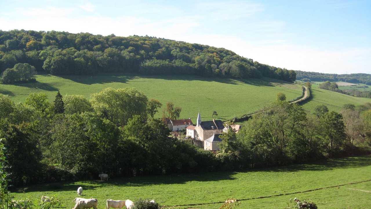 Photo of Outdoor in Bussy-la-Pesle