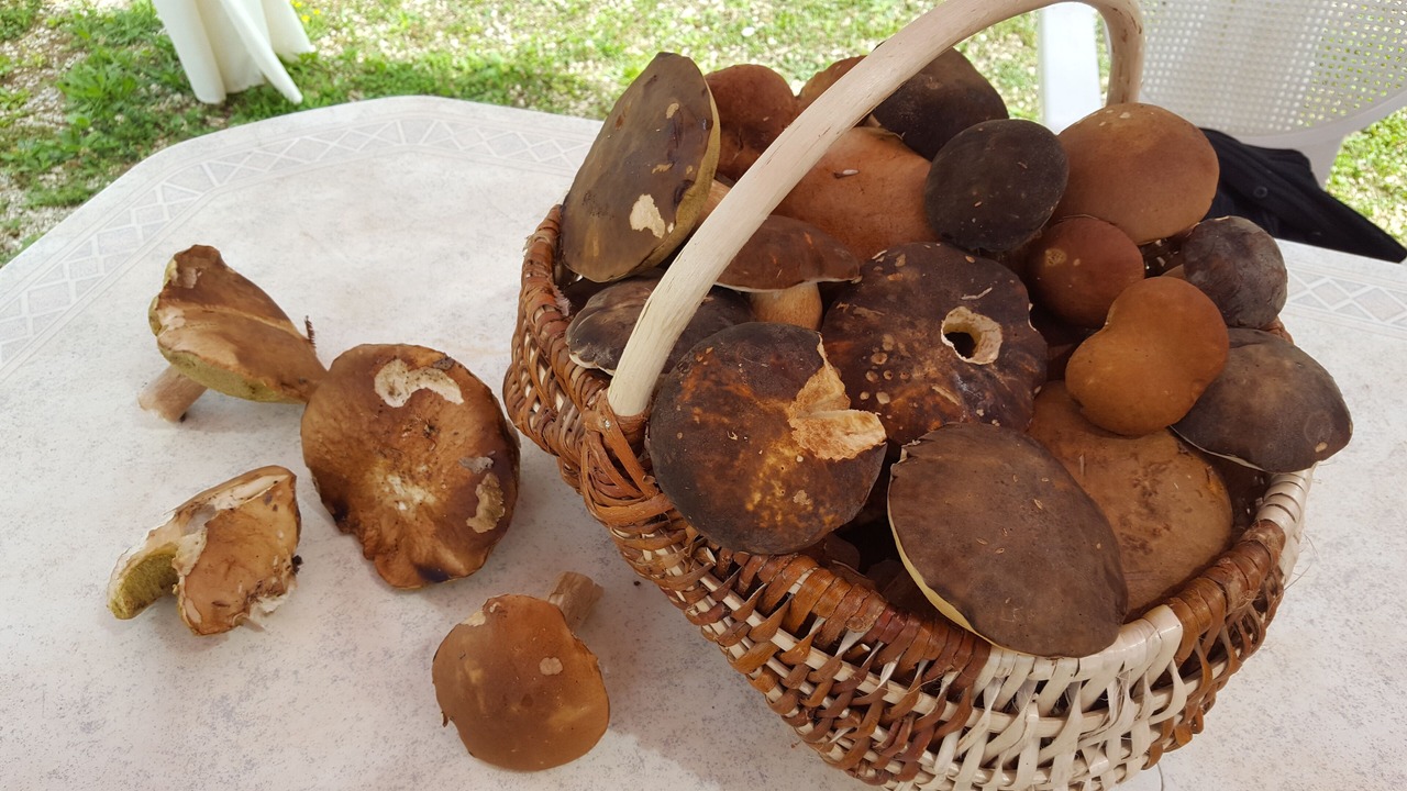 Photo of Others in Mauzens-et-Miremont