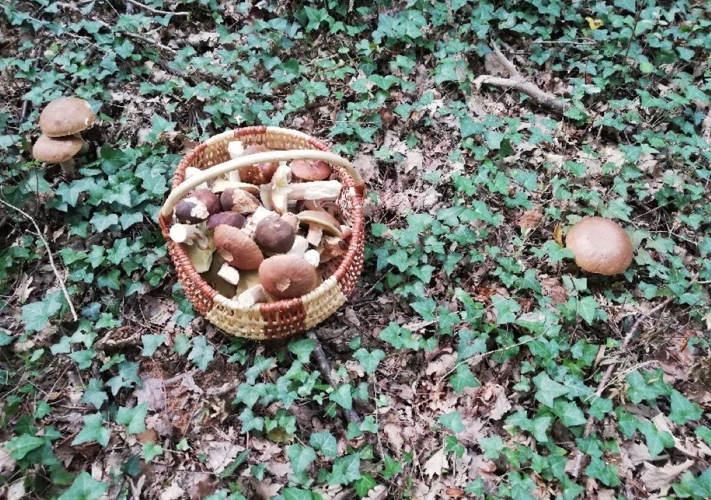 Photo of Others in Mauzens-et-Miremont