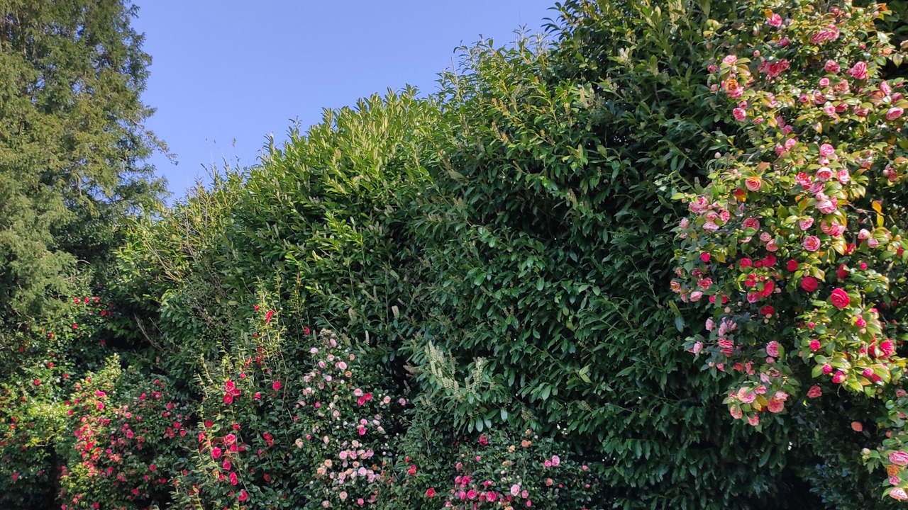 Photo of Outdoor in Plestin-les-Greves