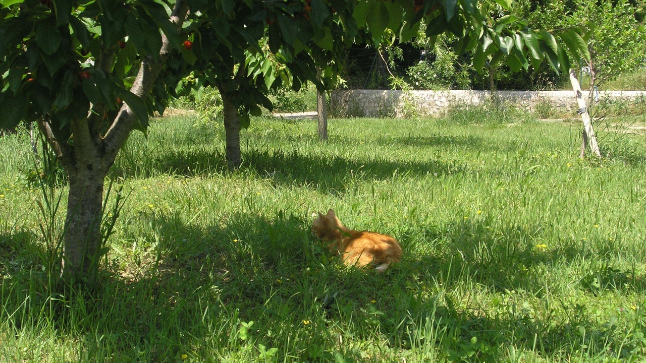 Photo of Outdoor in Valvigneres
