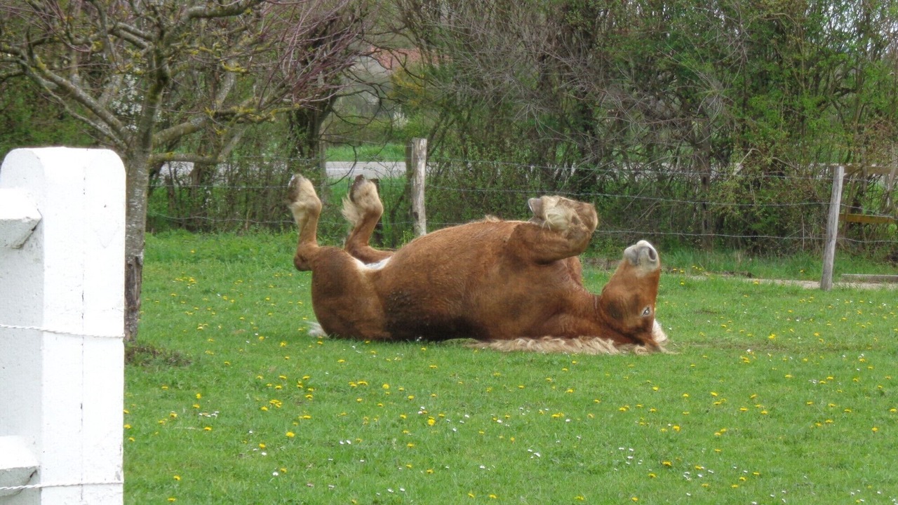 Photo of Outdoor in Ecleux