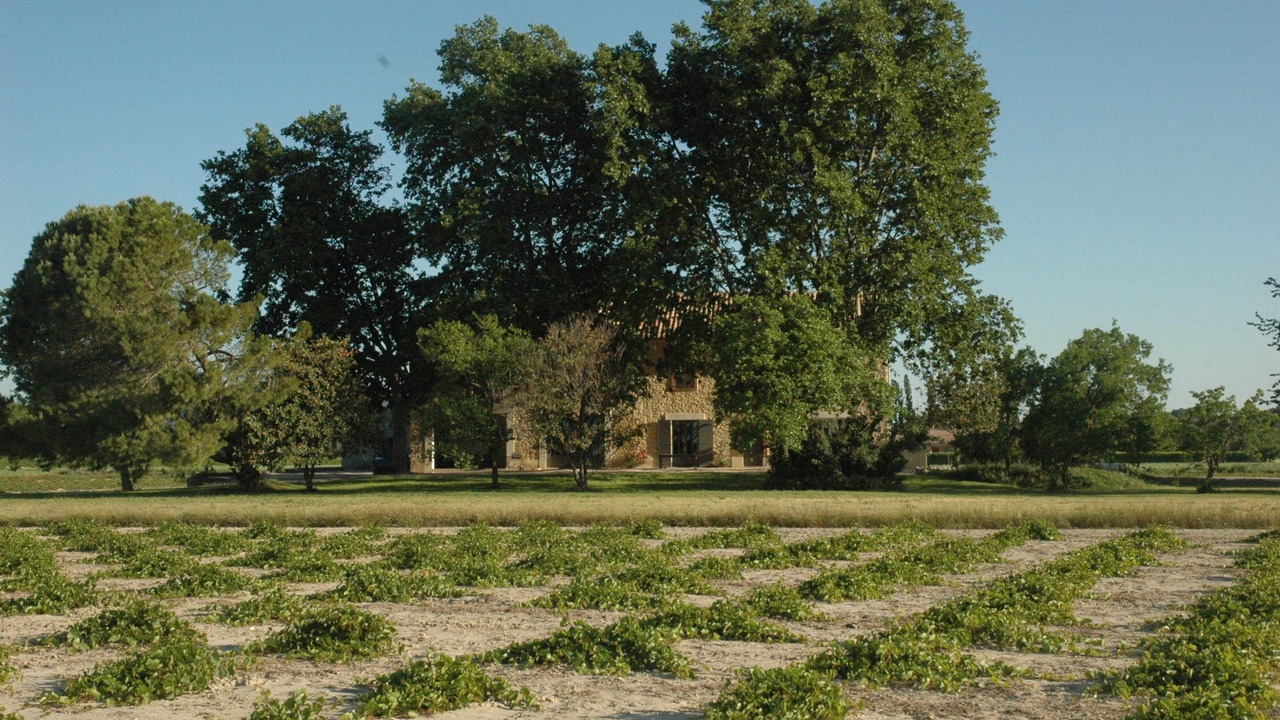 Photo of Outdoor in Caderousse