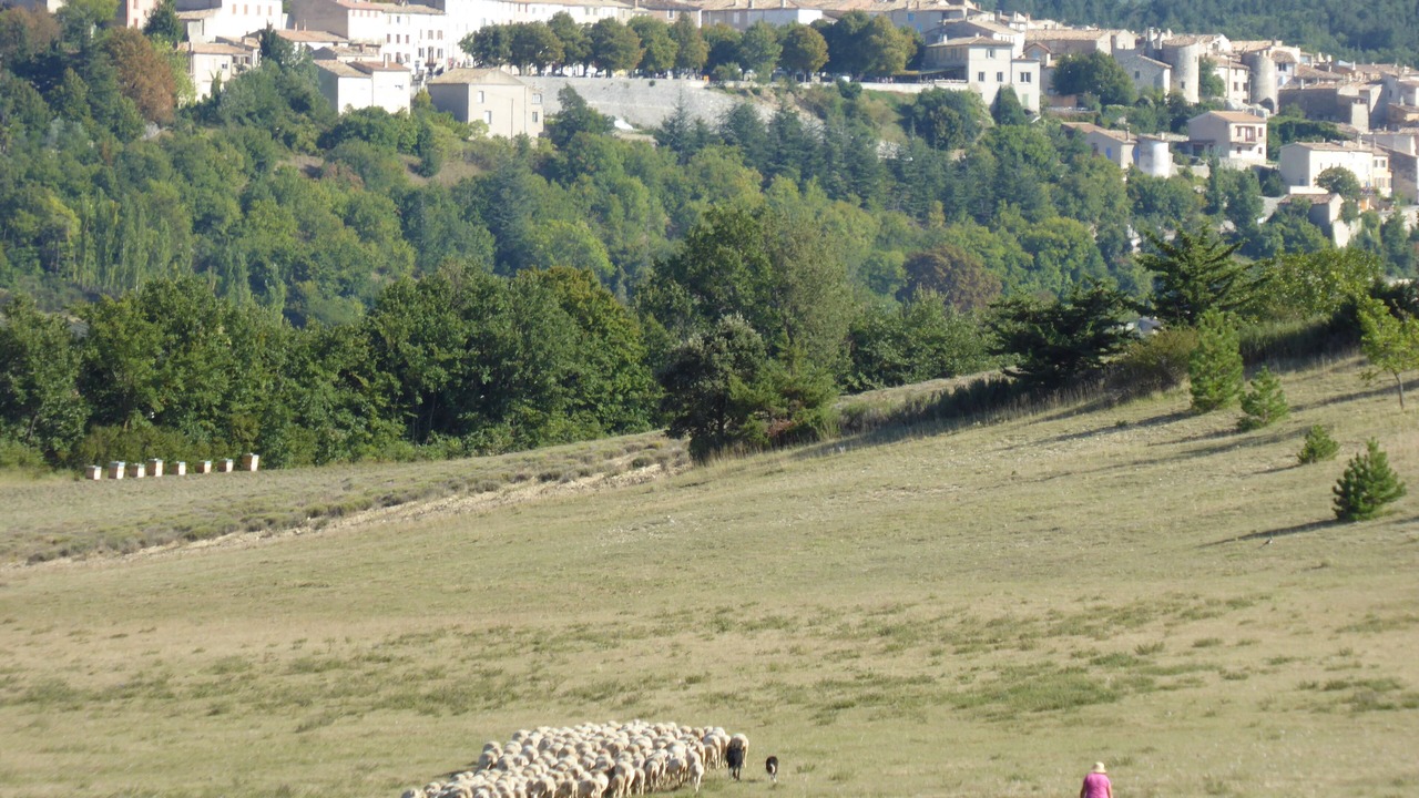 Photo of Outdoor in Sault