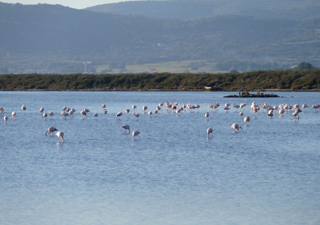 Photo of Others in Vic-la-Gardiole