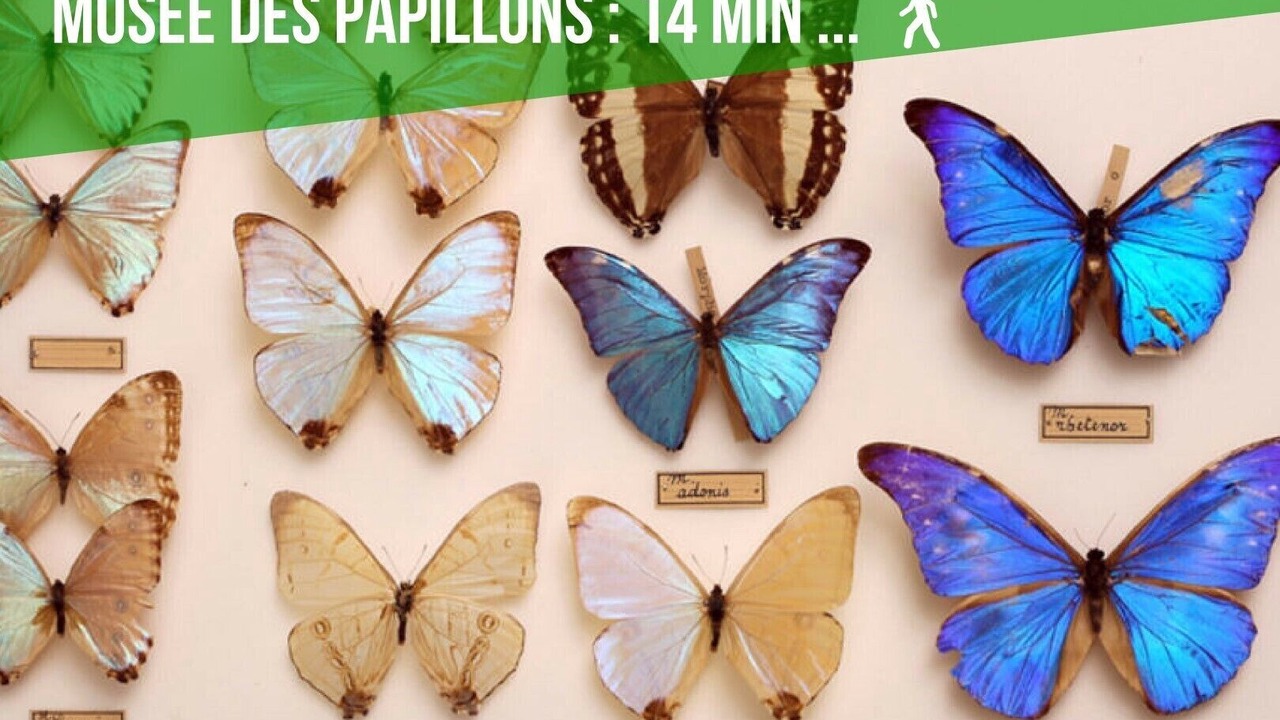 Photo of Others in Saint-Quentin