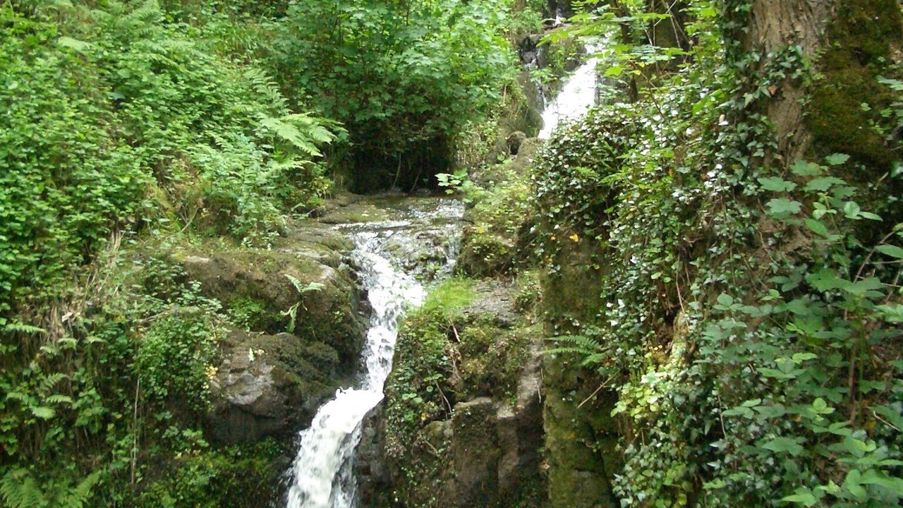 Photo of Others in Buais-les-Monts