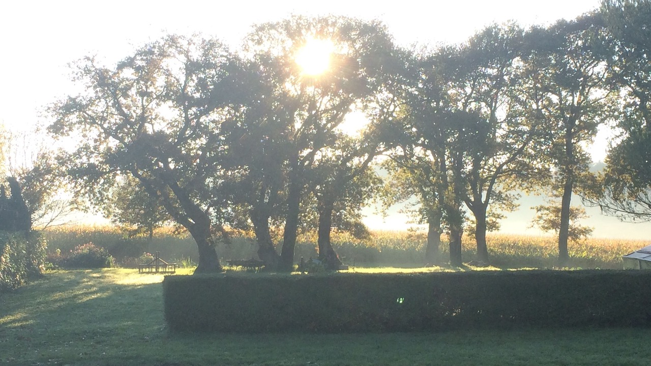 Photo of Outdoor in Questembert