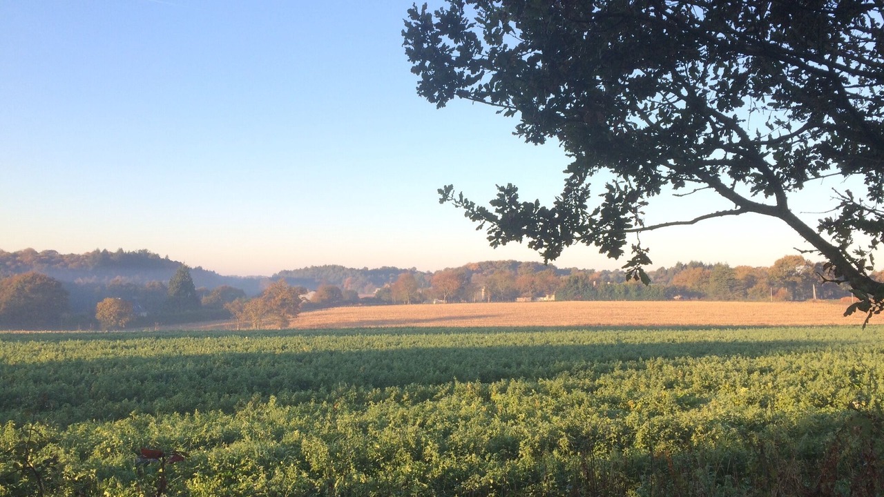 Photo of Outdoor in Questembert