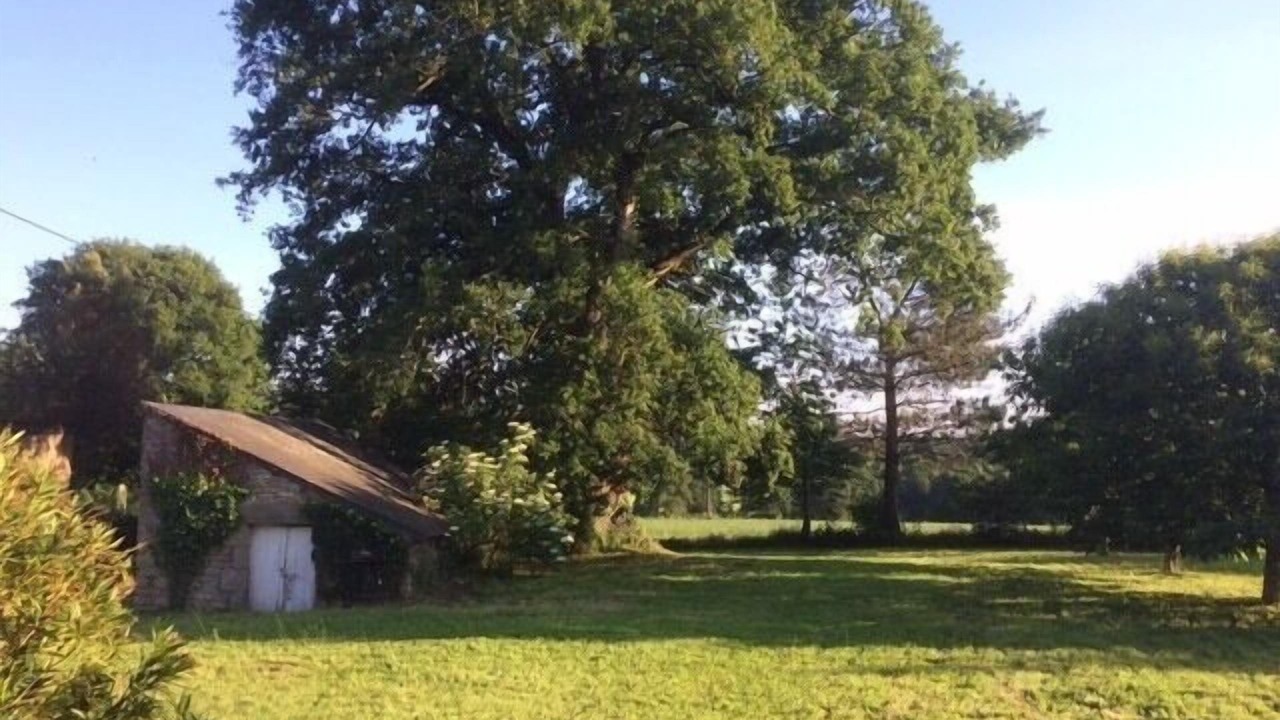 Photo of Outdoor in Questembert