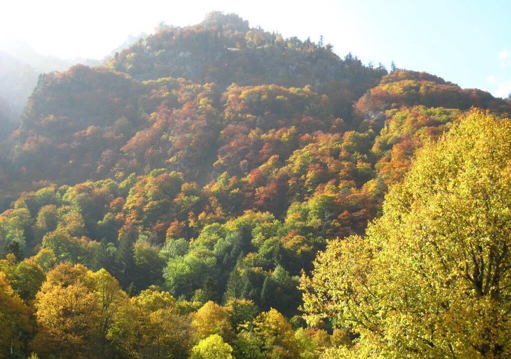 Photo of Outdoor in Cauterets