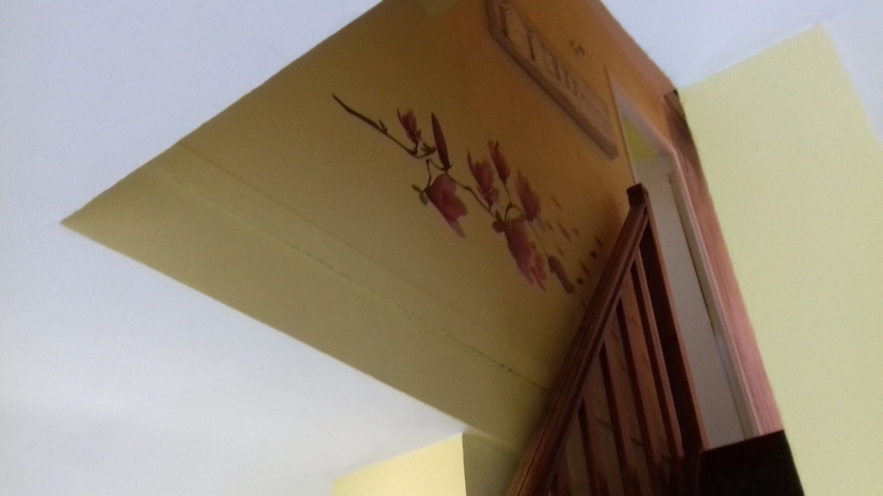 Photo of Others in Luc-sur-Mer