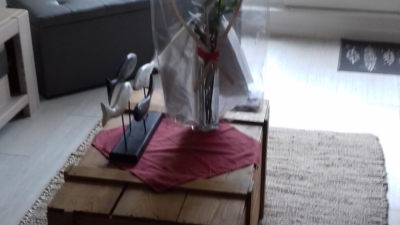 Photo of Others in Luc-sur-Mer