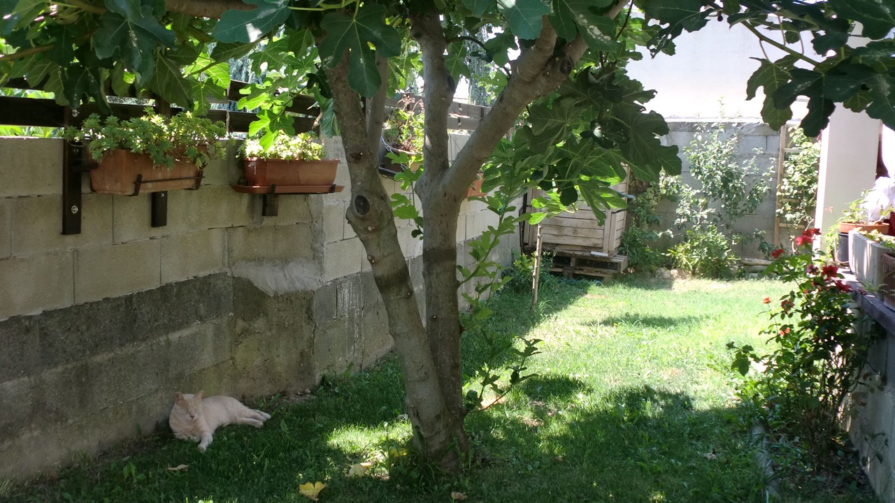 Photo of Outdoor in Trebes