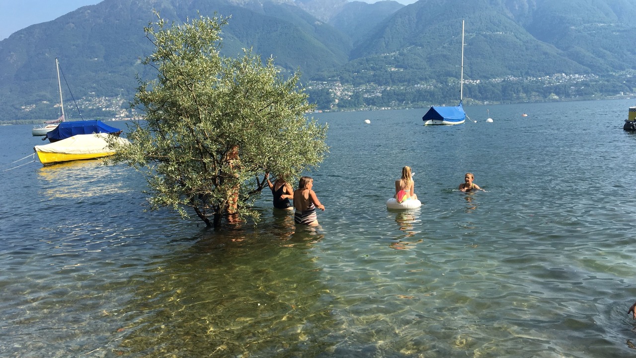 Photo of Others in Minusio