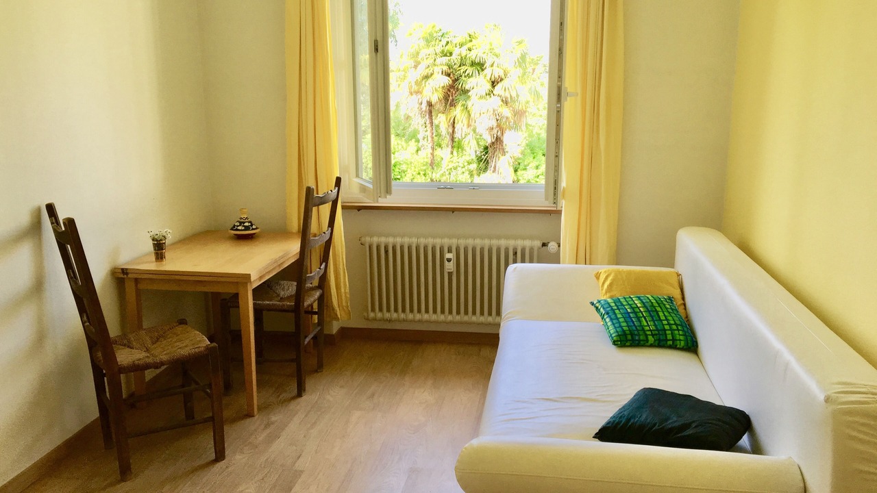 Photo of Livingroom in Minusio