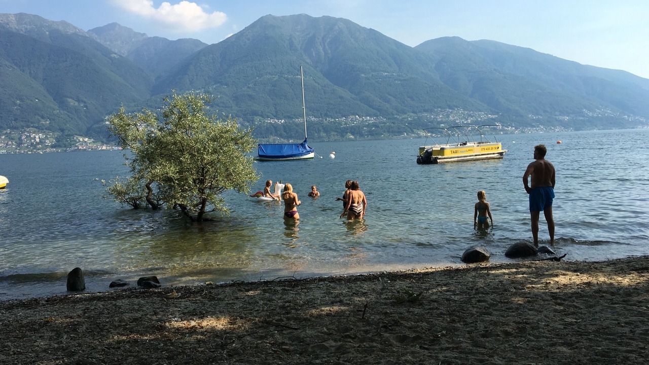 Photo of Others in Minusio