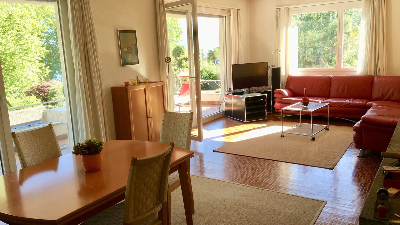 Photo of Livingroom in Minusio