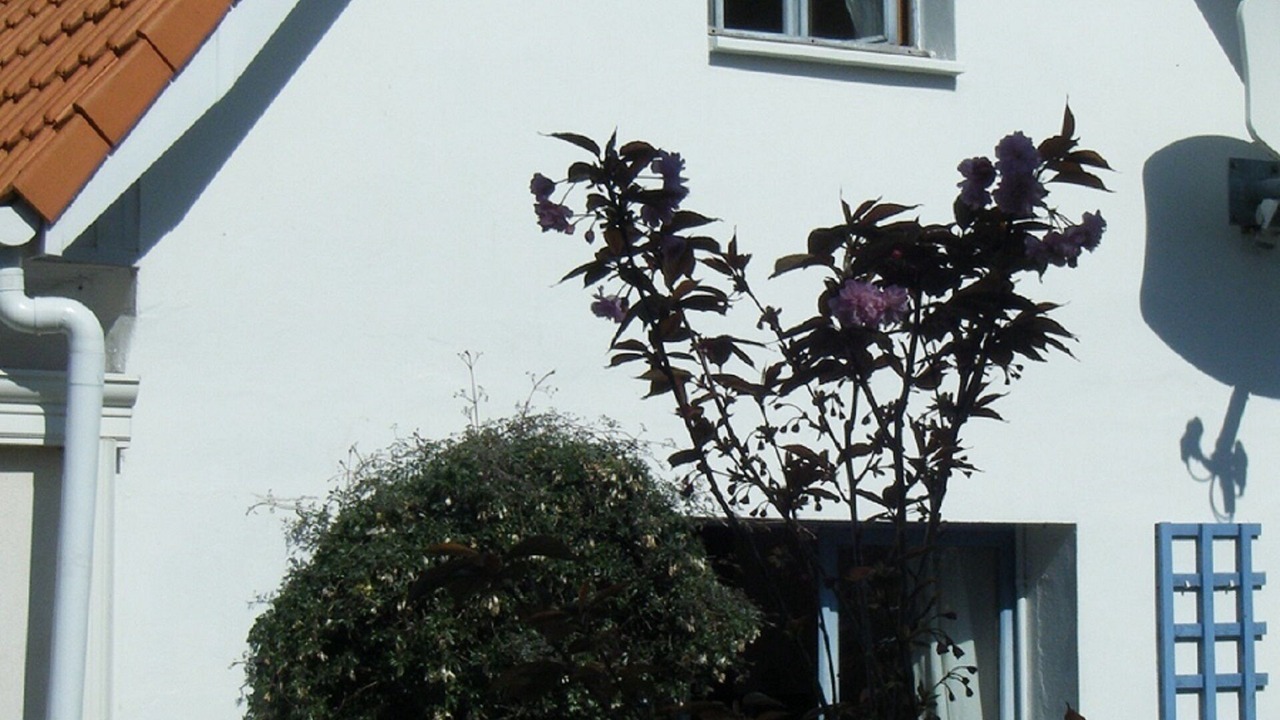 Photo of Outdoor in Wissant