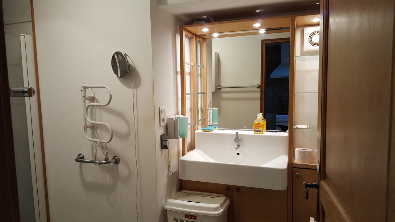 Photo of Bathroom in Venejan