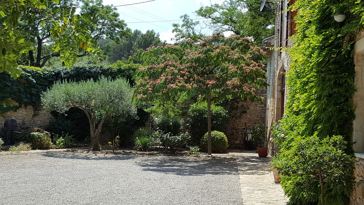Photo of Outdoor in Venejan