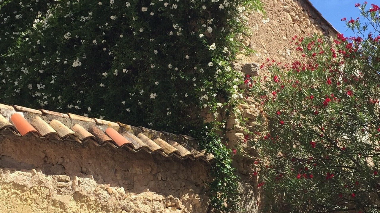 Photo of Outdoor in Puisserguier