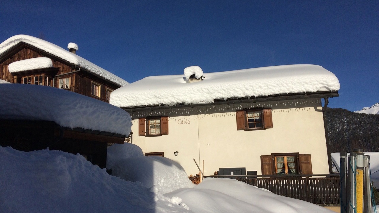 Photo of Outdoor in Wiesen