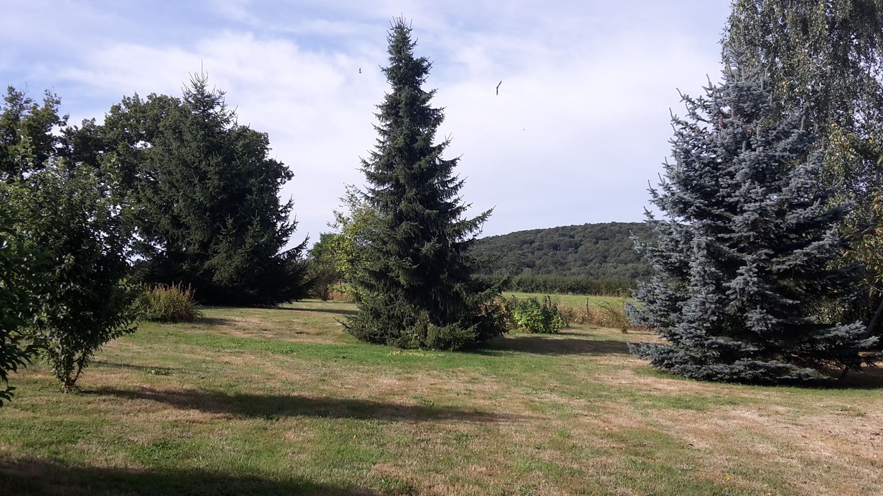 Photo of Outdoor in Sainte-Magnance
