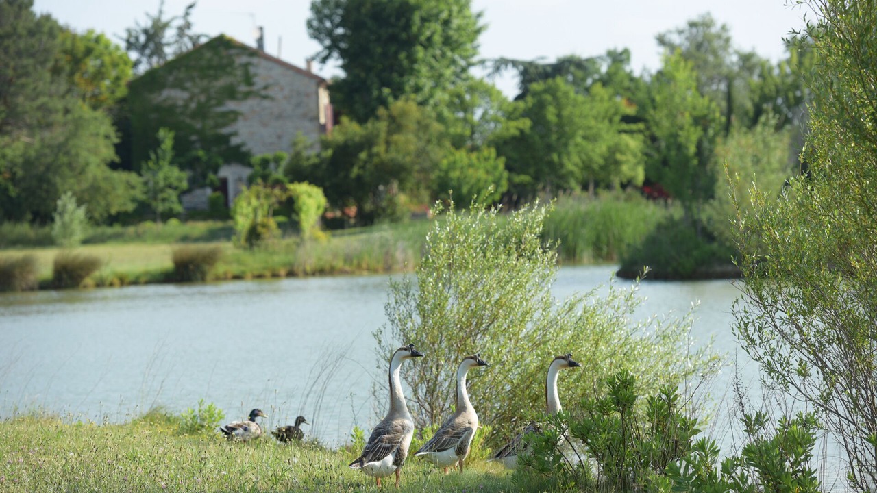 Photo of Outdoor in Narbonne